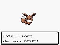 une photo d'Ã©cran de Pokemon Or sur Nintendo Game Boy Color